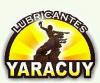 Full inyeccin yaracuy